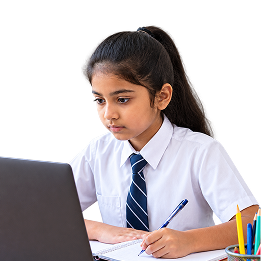 Online School Proctored Exam